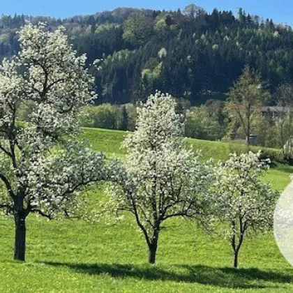 Für ein natürliches Wohlfühlerlebnis – individuell planbares Stockhaus in sonniger Lage! - Bild 2