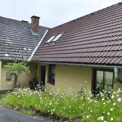 Landhaus am erfrischenden Bach mit Wald in herrlicher Aussichtslage nähe Badesee - Bild 3