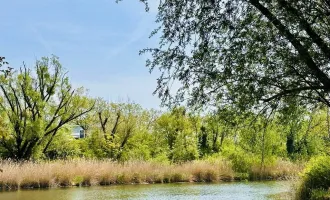 Wunderschöner Eigengrund - direkt am Mühlwasser - ganzjährig wohnen - 1220 Wien