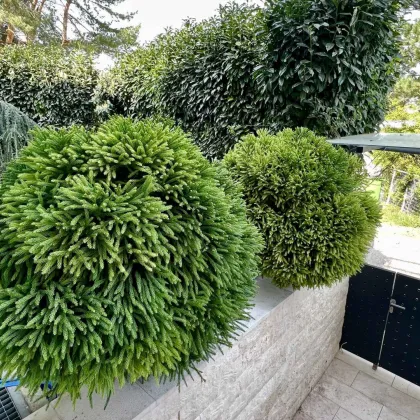 Moderne Traumimmobilie in bester Lage, exklusives Stadthaus mit traumhaften Fernblick von der Topterrasse! - Bild 3