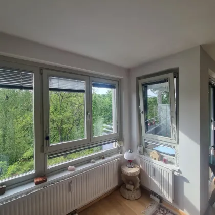 Provisionsfrei: Wohnen in der NATUR - Balkon, Terrasse und Dachgarten, ein Traum 4 Zimmer DG-Wohnung - Bild 3