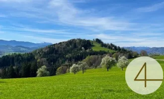 Apfelbaumblüte vor Ihrem Haus im schönen Mostviertel - Baugründe in wunderschöner, sonniger Lage!