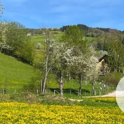 Im Mostviertel blühen wieder die Bäume ... - Baugründe in wunderschöner, sonniger Lage! - Bild 3