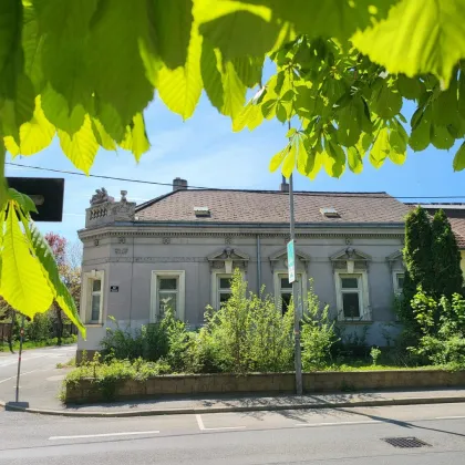 Leben beim Schloss Süßenbrunn inkl. Badeteich sowie Reitschule | Baubewilligtes Bauträgerprojekt - Bild 2