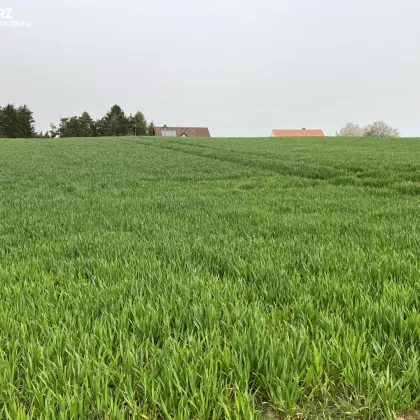 Naturidylle in Neuhaus - Bild 2