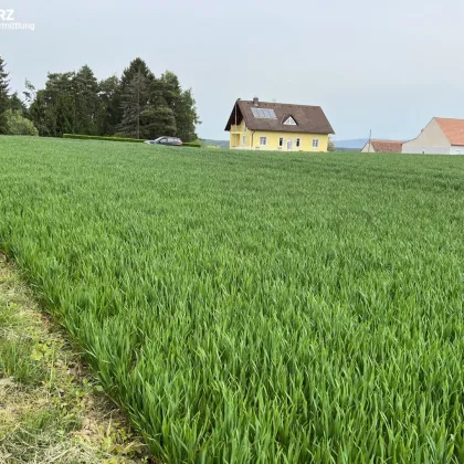 Naturidylle in Neuhaus - Bild 3