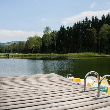 60 m² FERIENWOHNUNG MIT PRIVATTEICH! EINZIGARTIGES PROJEKT MIT ZWEITWOHNSITZ-WIDMUNG ODER TOURISTISCHER VERMIETUNG IM NATURPARADIES LÄNGSEE! JETZT SICHERN! - Bild 3