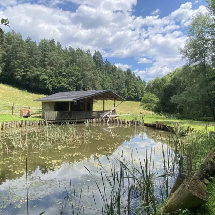 Grünes Paradies mit Teich in Stadtnähe - Bild 2