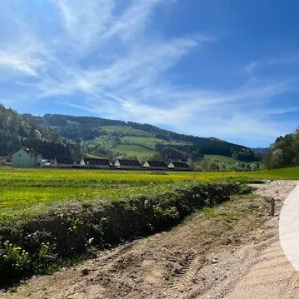 Bauträgerobjekt im Mostviertel - Baugründe in wunderschöner, sonniger Lage! - Bild 3