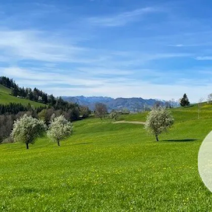 Bauträgerobjekt im Mostviertel - Baugründe in wunderschöner, sonniger Lage! - Bild 2