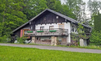 Idyllisches älteres Haus in herrlicher naturnaher Alleinlage