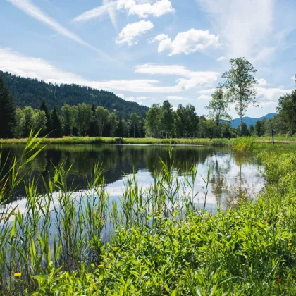 86 m² MAISSONETTE MIT PRIVATTEICH! NEUE FERIENWOHNUNGEN MIT ZWEITWOHNSITZ-WIDMUNG ODER TOURISTISCHER VERMIETUNG IM NATURPARADIES LÄNGSEE IN KÄRNTEN! - Bild 2