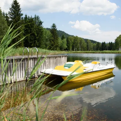 NATURPARADIES LÄNGSEE IN KÄRNTEN! NEUE 52 m² FERIENWOHNUNG MIT PRIVATTEICH UND ZWEITWOHNSITZ-WIDMUNG ODER TOURISTISCHER NUTZUNG! - Bild 3