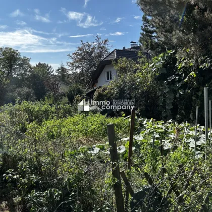 Traumhaftes Baugrundstück in idyllischer Lage von St. Andrä-Wördern - perfekt für Ihr Eigenheim! - Bild 2