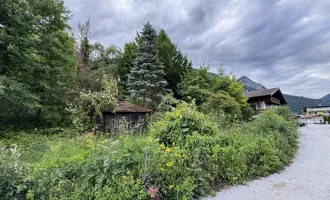 Baugrund mit Altbestand in Münster zu verkaufen!