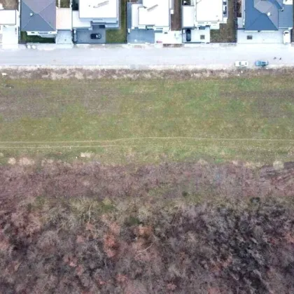 Projektiertes Bauvorhaben mit 14 Häusern, jeweils rund 500 m² Parzellen - Bild 3