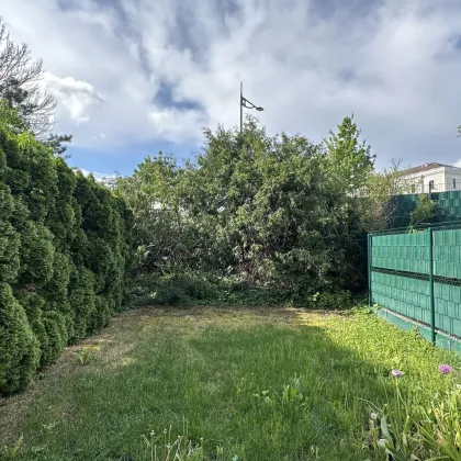 Reihenhaus mit Garten im wunderschönen Mödling - Bild 2