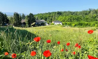 Baugrundstück(e) in absoluter Bestlage von LEOBENDORF - BURG KREUZENSTEIN