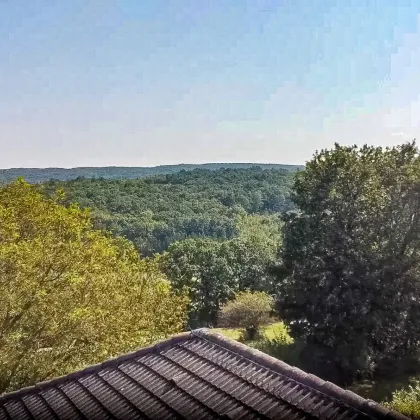 Traumhaftes großes Grundstück mit perfektem Weitblick in Siegenfeld - Bild 2