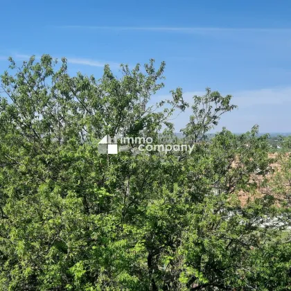 Fernblick + Sommerpreis !  Traumhaftes Ferienhaus über den Wolken mit 6 Wohneinheiten, 170m² Wohnfläche und einem großem Garten - Bild 2