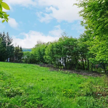 Zwei zentrumsnahe Baugrundstücke in ruhiger Waldrandlage - Bild 3