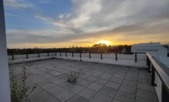 Penthouse mit Dachterrasse- Badeteich Hirschstetten- Erstbezug