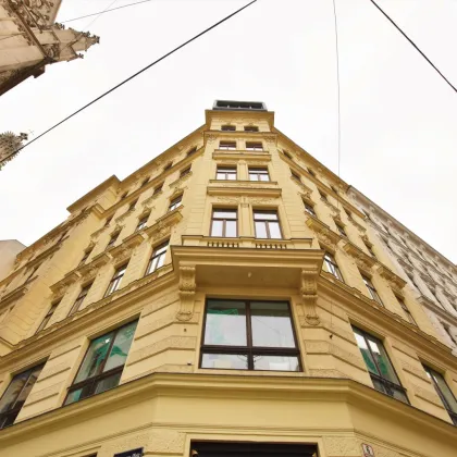 Repräsentative Luxus-Altbauwohnung in toller innerstädtischer Lage! Prächtiger Altbau an einem ruhigen Platzl in 1010 Wien! - Bild 2