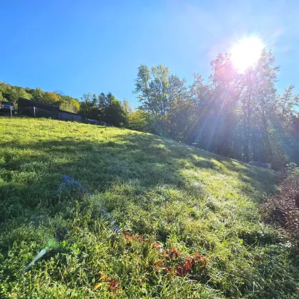 Leben auf der Sonnenseite! - Baugrundstück mit See- und Bergblick umgeben von der Natur - Bild 3