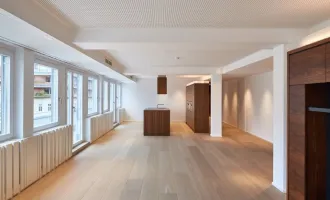 Großzügige Luxuswohnung in Toplage Wiens - 247m² mit Terrasse, 5 Zimmern, 4 WC/Bädern, Einbauküche & Aufzug nur € 1.990.000