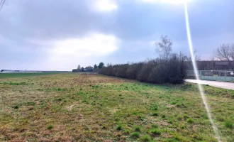 **Landwirtschaftliche Fläche direkt angrenzend am Wohngebiet**