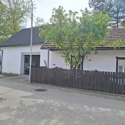 Charmantes Haus im Grünen! - Bild 2