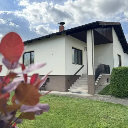 Gols - Ideales Wohnhaus mit großem sonnigen Grund für Sie und Ihre Familie! - Bild 2