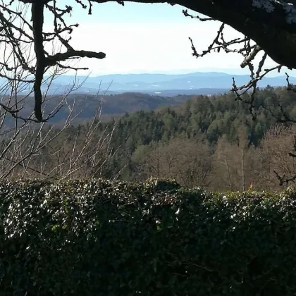 EINZIGARTIG - Wald, Wiesen, Bergblick und ein Bungalow! - Bild 2