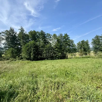 Sankt Johann im Saggautal! Traumhaftes Baugrundstück in malerischer Lage - Bild 3