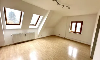 Schöne 2-Zimmer-Wohnung mit extra Küche im beliebten Grazer Bezirk Liebenau - PROVISIONSFREI!