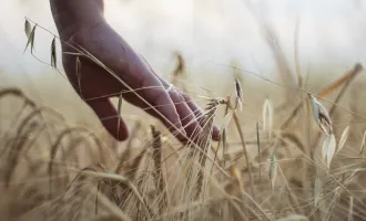 Vorankündigung einer RARITÄT! Landwirtschaftliche Liegenschaft mit rd. 12 ha - alles auf einem Fleck - Bezirk Melk