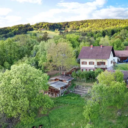 Traumhafter Weitblick und Natur pur – Einfamilienhaus mit umfangreichem Grundstück und landwirtschaftlichen Gebäuden - Bild 3