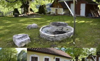 Perfektes Gartenparadies im Ybbstal - Alleinlage