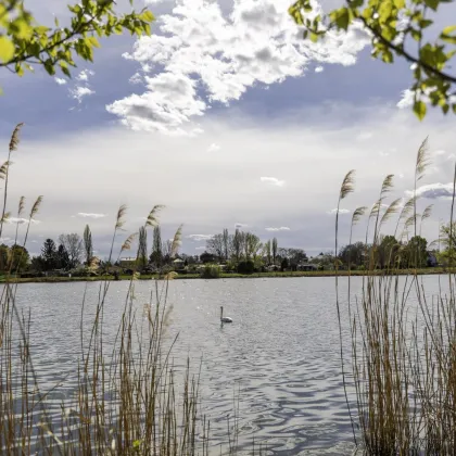 Leben am Wasser - den Alltag genießen - Bild 3