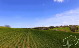 Sonderpreis - Grundstück in Ruhelage mit Panoramablick zum Kauf!