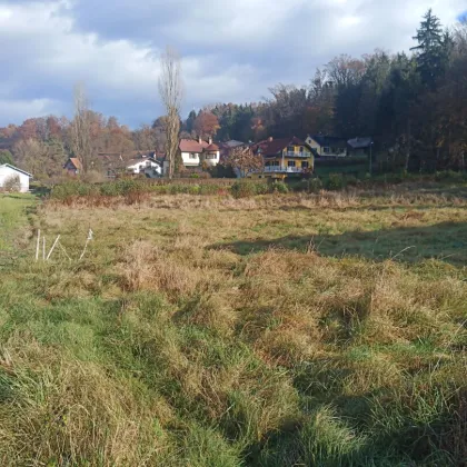 Preisreduktion! Zentral liegendes, ebenes, sonniges Grundstück in Ragnitz - Bild 2