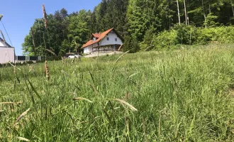 1683 m² Grundstück idyllisch am Waldrand, sonnig, aufgeschlossen 8411 Hengsberg