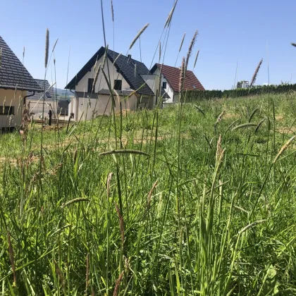 1683 m² Grundstück idyllisch am Waldrand, sonnig, aufgeschlossen 8411 Hengsberg - Bild 2