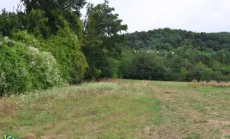 Großes Baugrundstück in guter Lage nahe Mödling