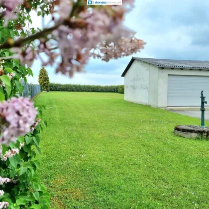 3902 Vitis - Einziehen und wohlfühlen - Gepflegtes Einfamilienhaus in ruhiger Lage im Waldviertel - Bild 2