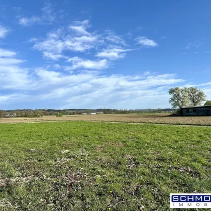 Schönes Grundstück am Ströblberg in Gunskirchen - Bild 3