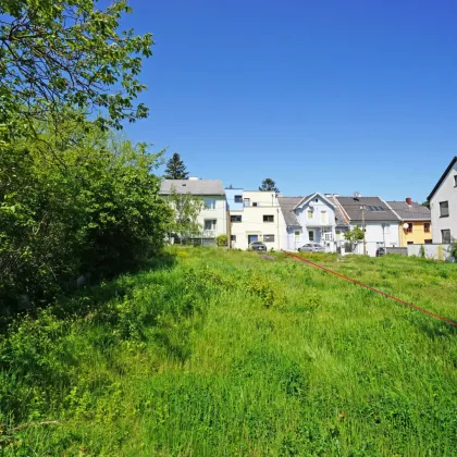 Wolfersberg: Sensationelles Grundstück, nahezu eben, mit unverbaubarem Ausblick nach Süden - Bild 2