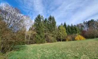 Idyllisch gelegenes Grundstück in Witzelsberg zu verkaufen