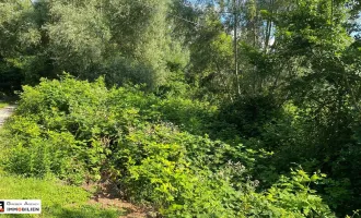 Traumhaftes Baugrundstück in Altenberg, Niederösterreich - kein Bauzwang!