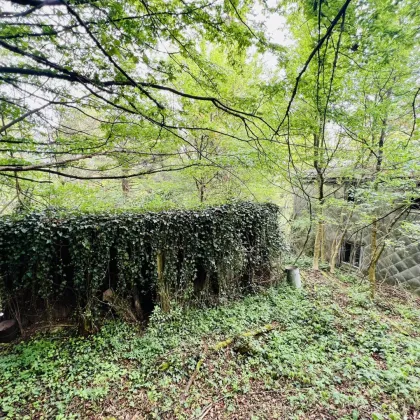 Baugrundstück in herrlicher Ruhelage - vor den Toren Wiens - grüner Weitblick übers Tal - gut bebaubar - Bild 2